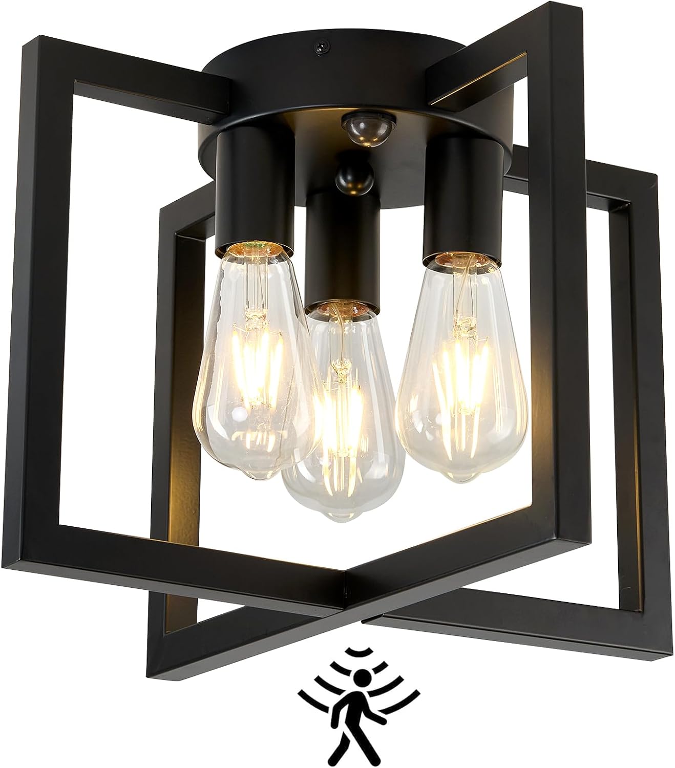 Motion Sensor Ceiling Light Fixture for Industrial Style Homes