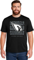 Zubaz NFL Men's Team Graphic T-Shirt - Bold Licensed Fan Tee game