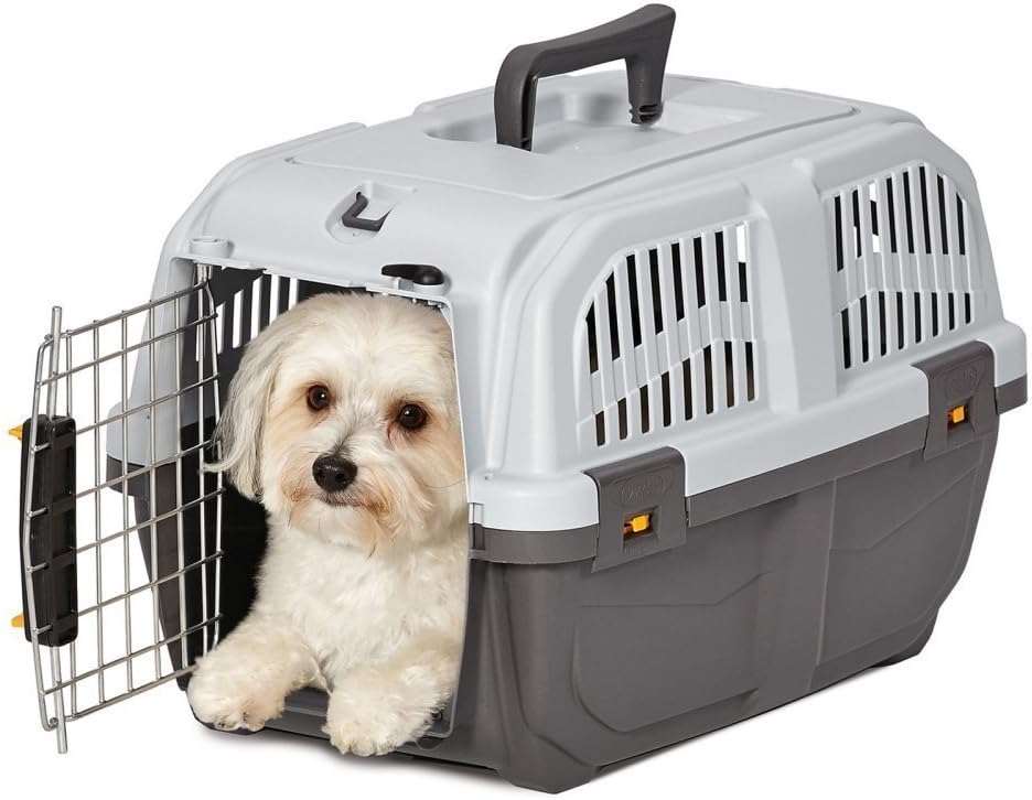 MidWest Skudo Plastic Carrier for Small Dogs and Pets, 19-Inch