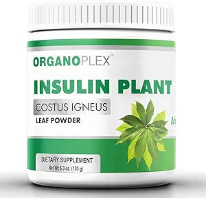Insulin Plant Powder by ORGANOPLEX - Natural Supplement for Health