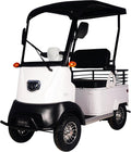 HAOWEIH Electric Golf Cart: Senior-Friendly with Storage