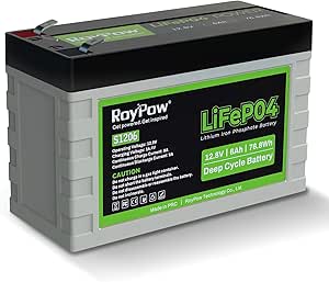 RoyPow 12V 6Ah Lithium Iron Phosphate Battery for Versatile Use