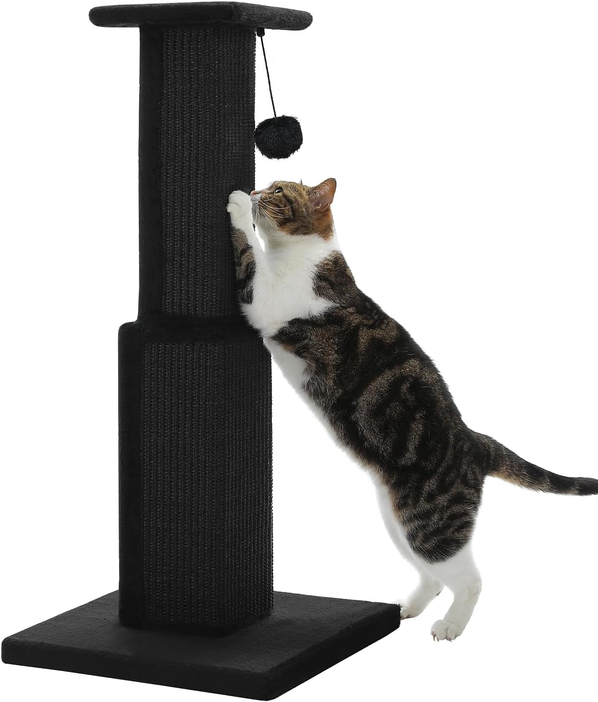 Large Cat Scratching Post 32 Tall for Indoor Cats - Black