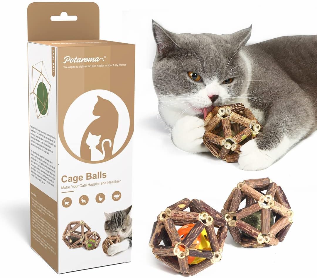 Catnip Toys Set: Natural Teeth Cleaning Fun!