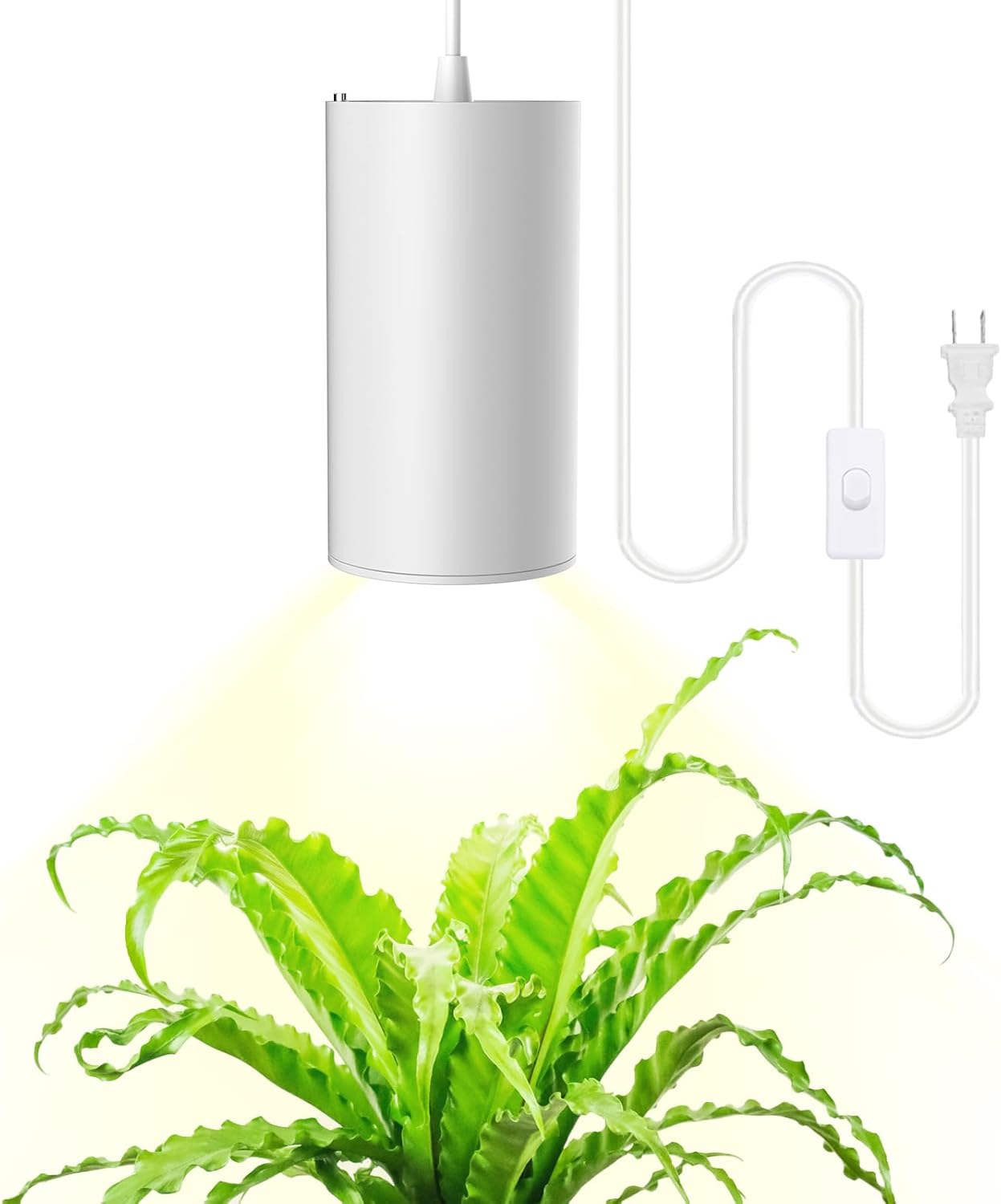 STERREN LED Grow Light for Indoor Plants - Full Spectrum