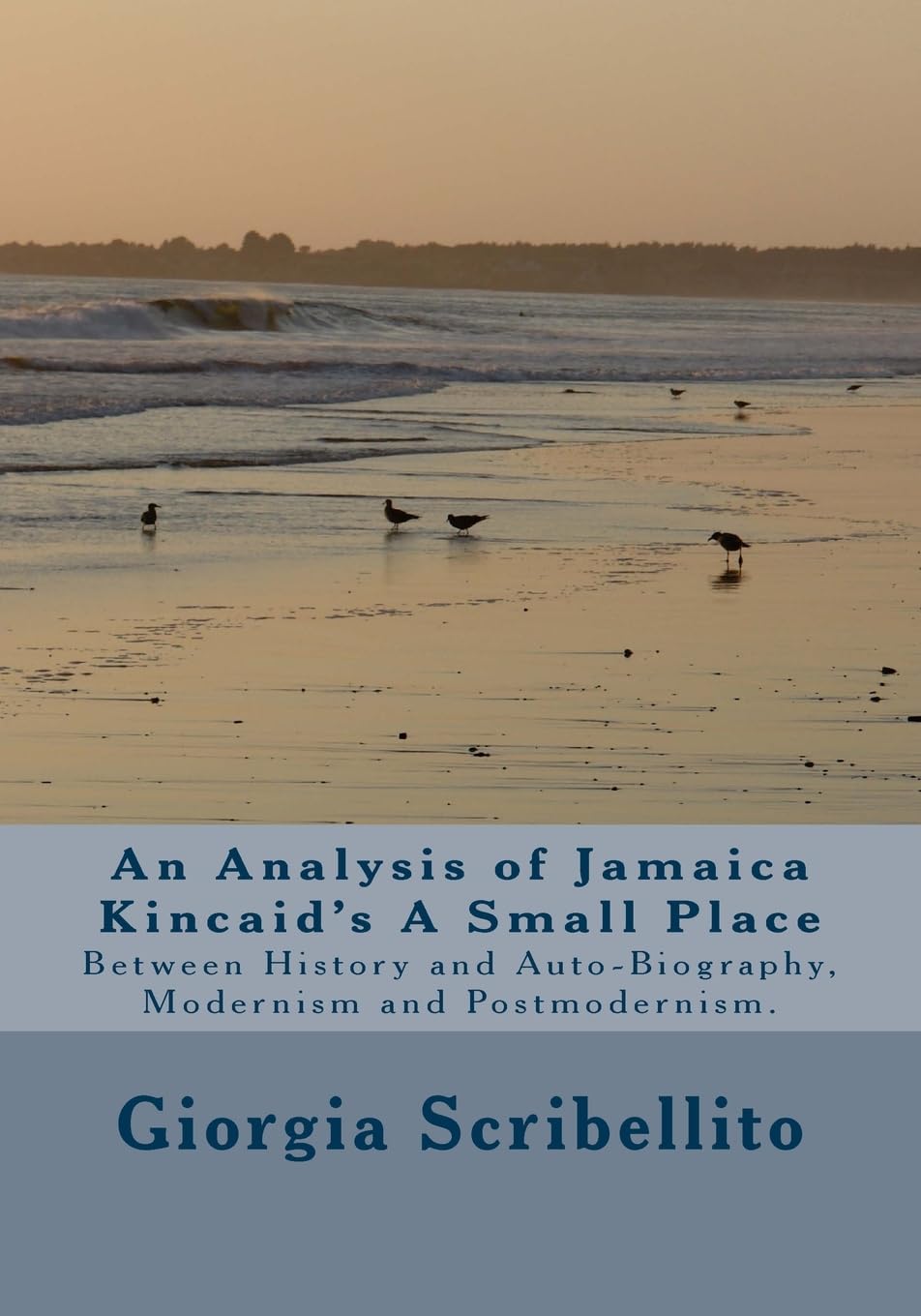An Analysis of Jamaica Kincaid's A Small Place for Readers