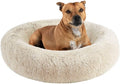 Friends Forever Serena Donut Memory Foam Dog Bed Review