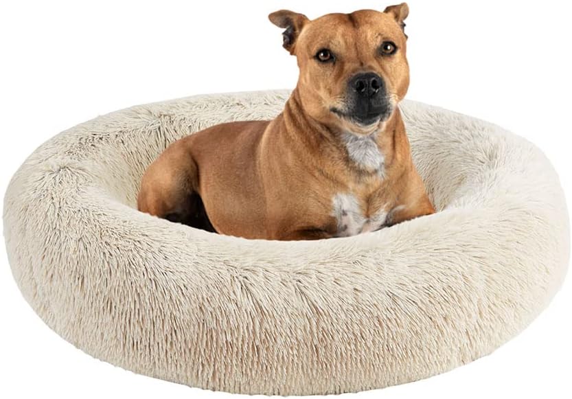 Friends Forever Serena Donut Memory Foam Dog Bed Review