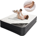 Queen Air Mattress with Built In Pump - 18in Raised Comfort