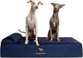 NOAH & PAW Large Dog Bed 35x25x8.7 in - Orthopedic Cooling Comfort
