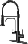 Black Kitchen Pull Down Faucet with Built-in Drinking Filter - Dual