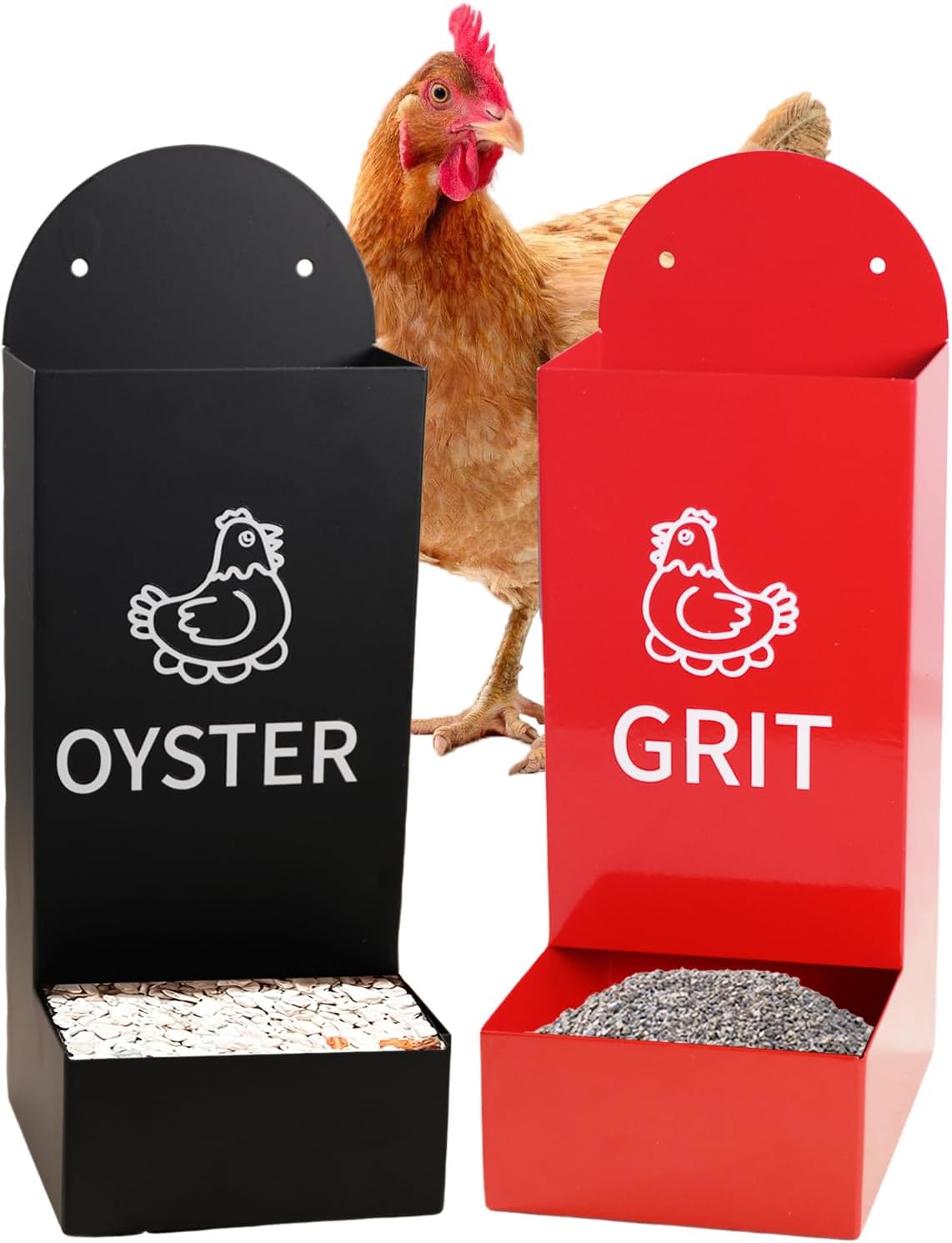 Automatic Chicken Feeder for Oyster Shells and Grit - Durable Metal