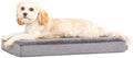 Orthopedic Dog Bed with Memory Foam - Small 24in x 16in