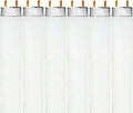 LUXRITE 24in T8 17W Daylight Fluorescent Tube - Bright, Efficient