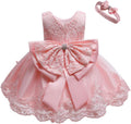 Embroidered Tutu Ball Gown for Baby Girls with Headwear Included