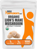 Organic Lion's Mane Mushroom Extract Powder - Nutrient-Rich Wellness