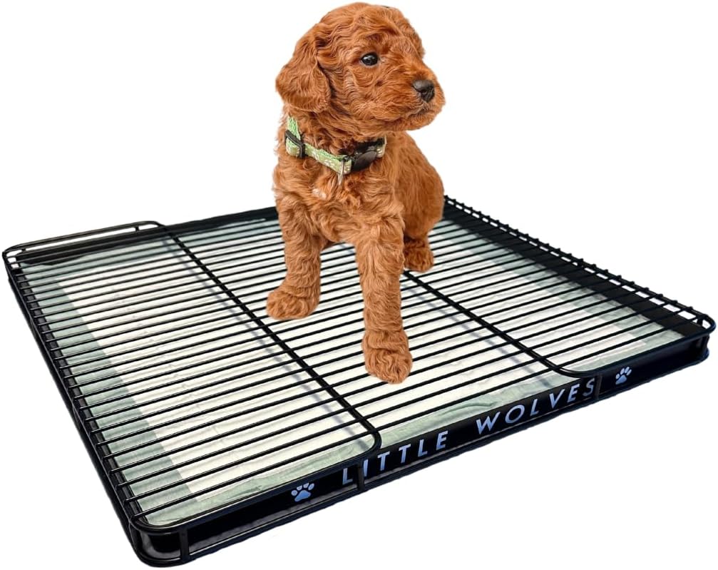 Little Wolves Puppy Potty Tray - Heavy-Duty Training Solution