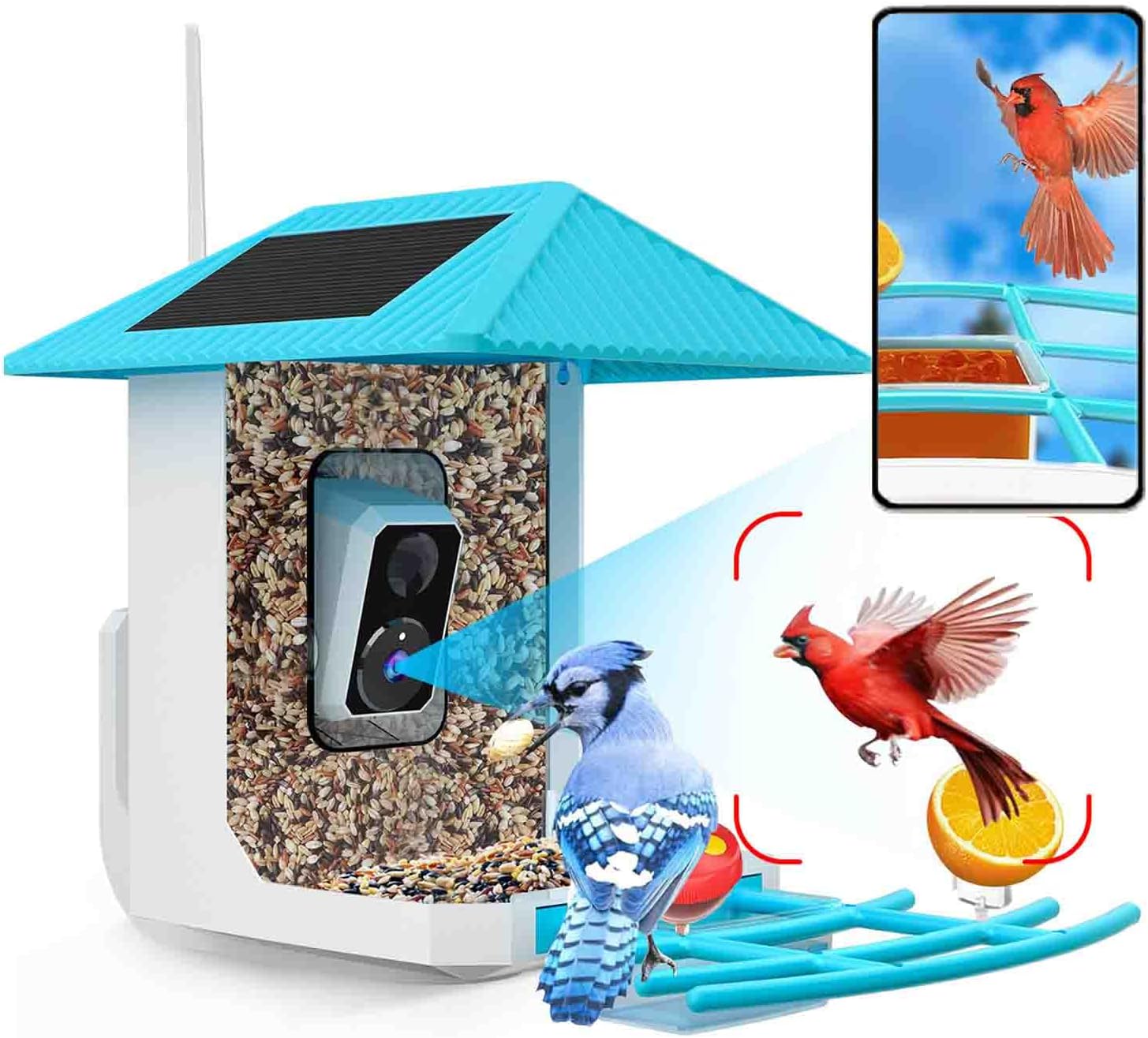 AI Bird Watching Feeder | Solar Panel | Tutoview