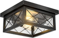 Farmhouse Flush Mount Ceiling Light - 2-Light Black Clear Glass