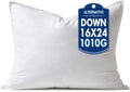 MIULEE 16x24 Down Alternative Pillow Insert - Plush Support for Sofa