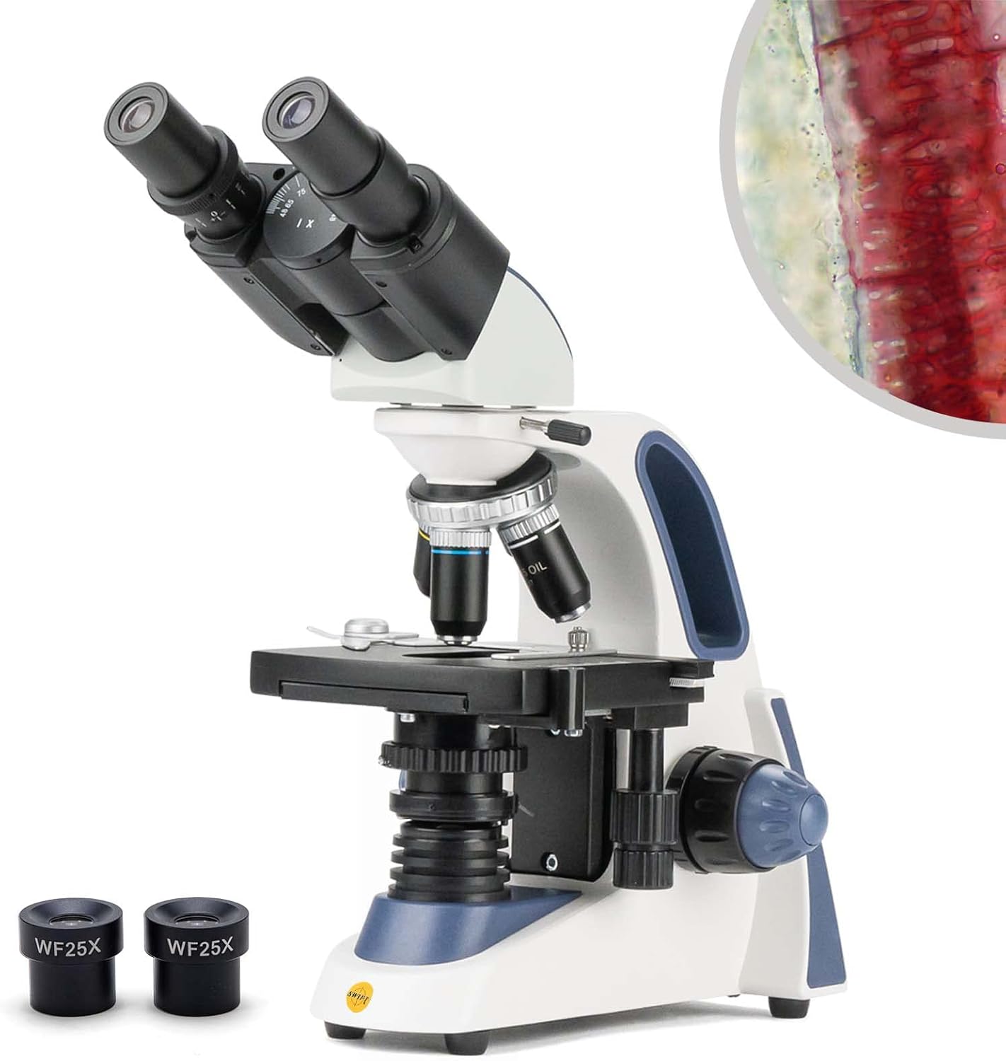SWIFT SW380B Research-Grade Binocular Compound Microscope