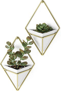 Modern Chic Hanging Planters for Succulents, Set of 2, White/Brass