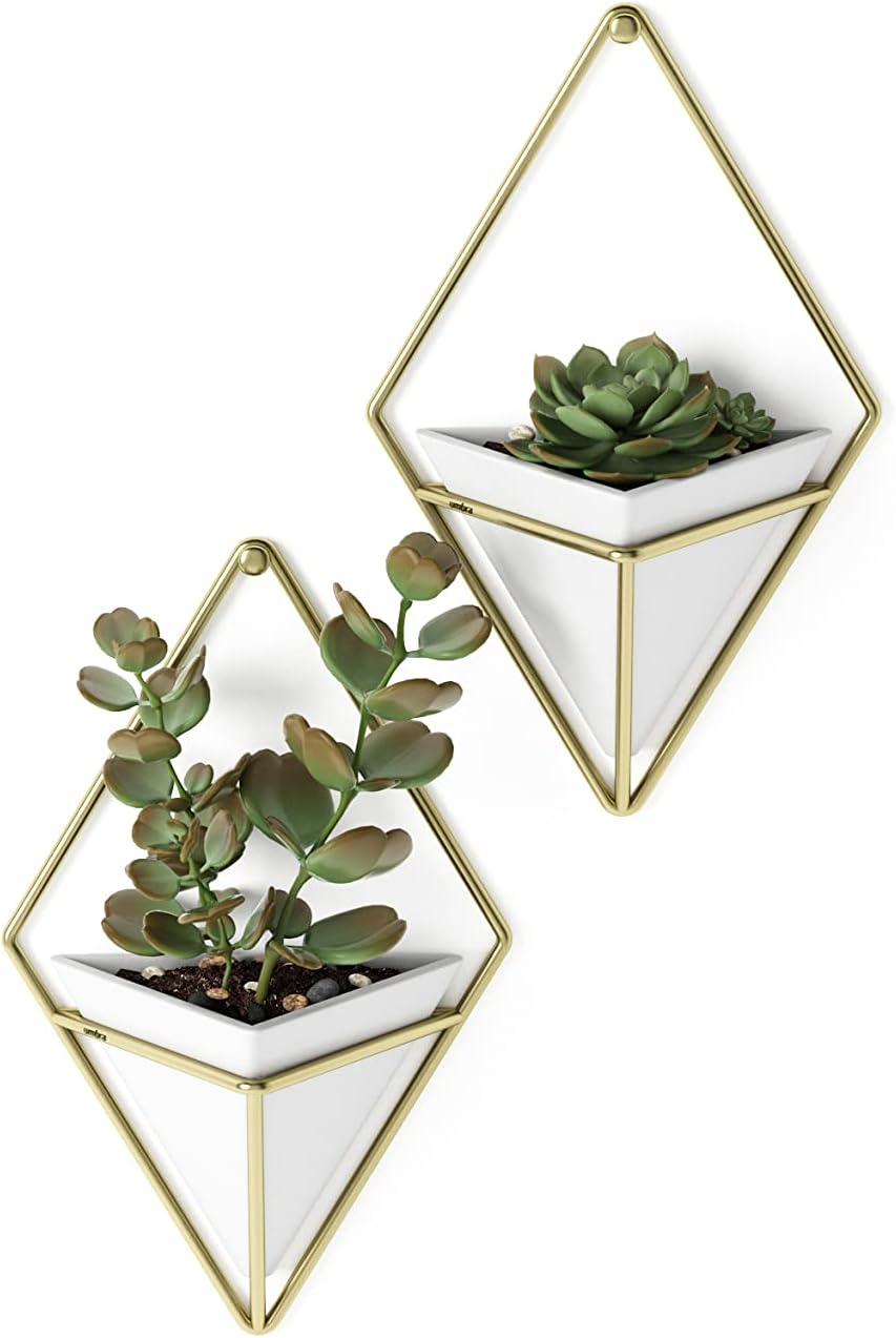 Modern Chic Hanging Planters for Succulents, Set of 2, White/Brass