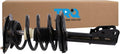 TRQ Complete Strut & Coil Spring Assembly Front - Direct Fit