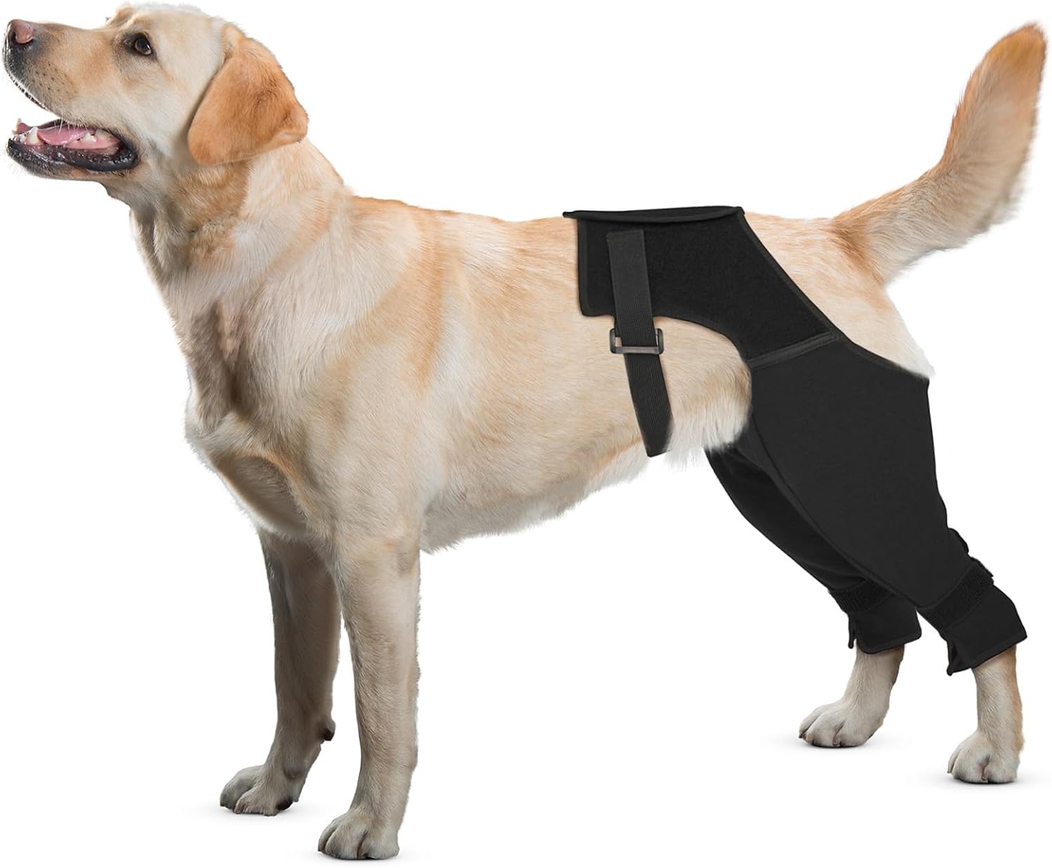Dog Surgical Sleeve for Recovery with Back Buckle for Comfort