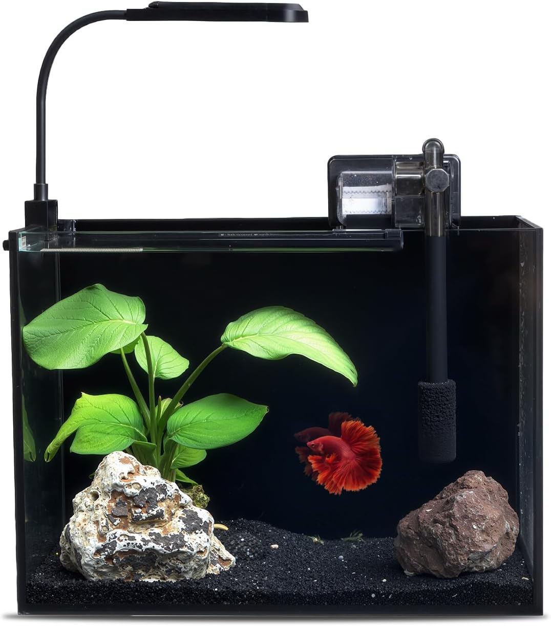 2.5 Gallon Glass Small Fish Tank Kit for Betta and Goldfish