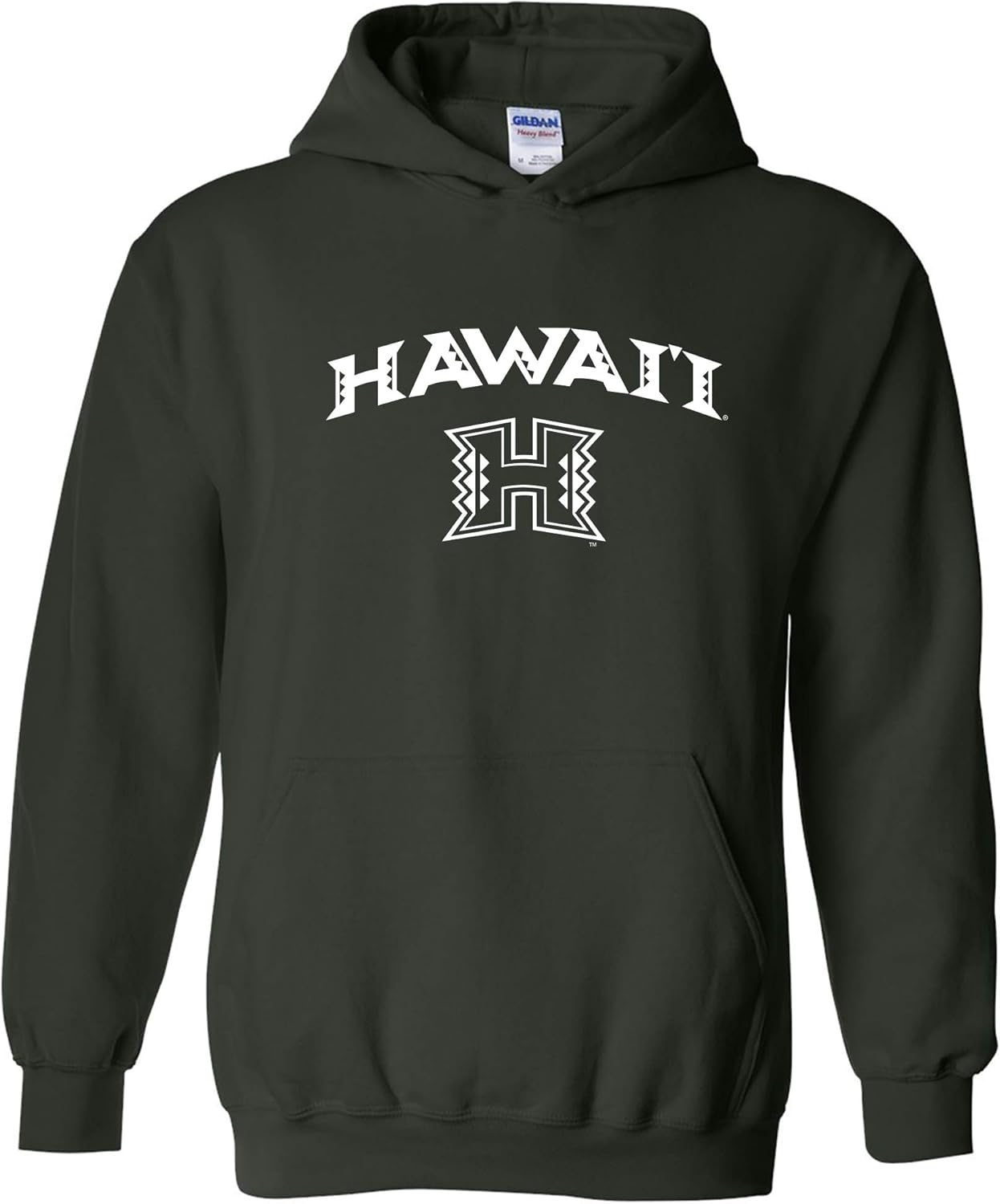 NCAA Officially Licensed College Team Color Arch Logo Hoodie