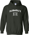 UGP Campus Apparel College Team Color Arch Logo Hoodie - Hawaii Pride