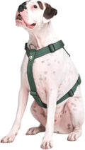 No Pull Dog Harness for Large Dogs Solid Green M - Heavy Duty Y-Style