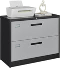 Lateral 2 Drawer File Cabinet with Lock - Sturdy Metal Storage