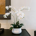 Faux White Orchid Plant - Realistic Sculptural Blooms That Last