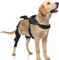 Dog Knee Brace for ACL CCL Injuries - Rear Leg Support (Size L)