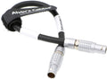 Z CAM E2 Sync Cable 10 Pin Male to 10 Pin Male - Compact Dual Sync