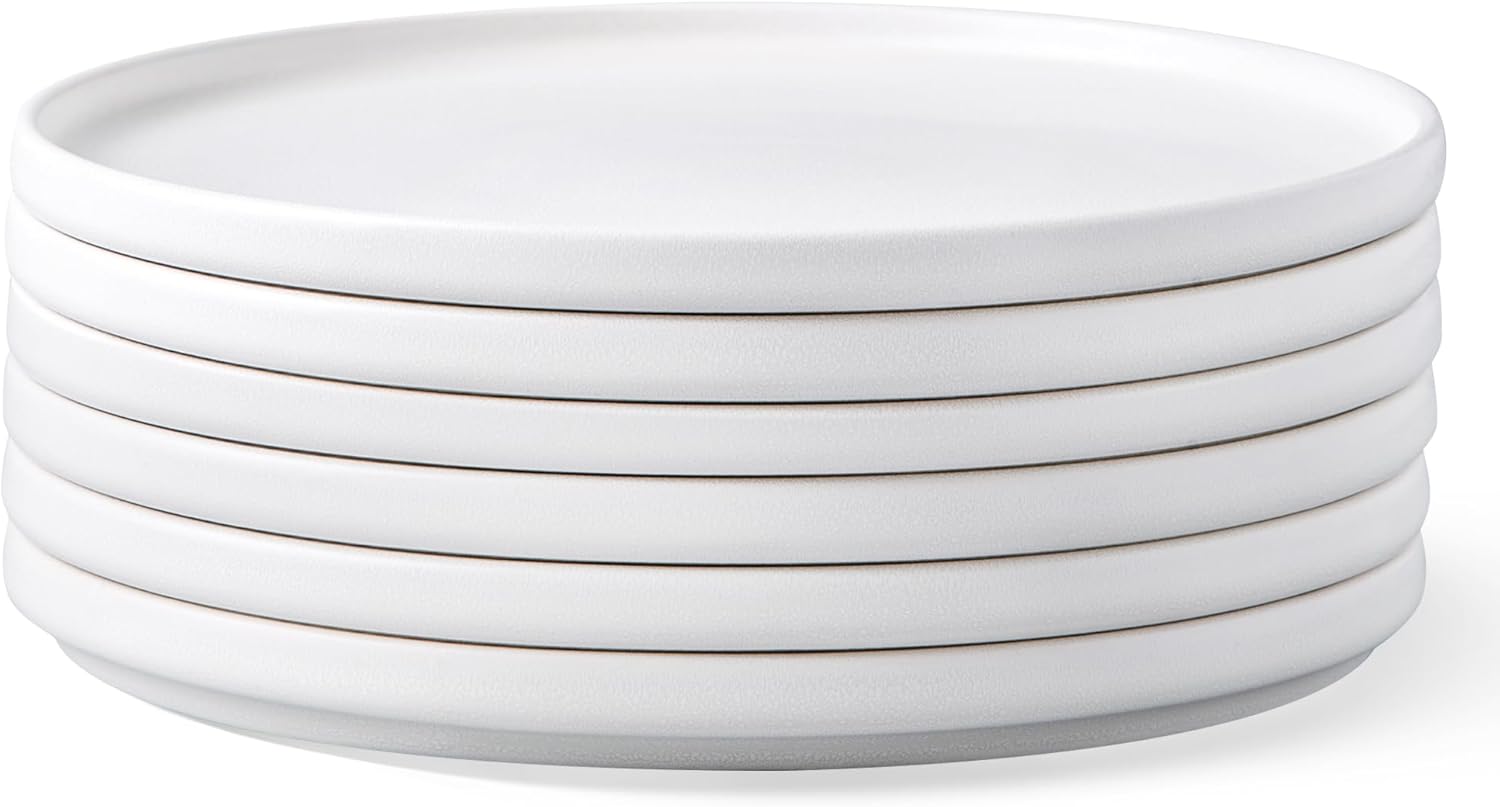 Unique Stoneware Dinner Plates Set of 6, 10.5 Inch Matte Glaze