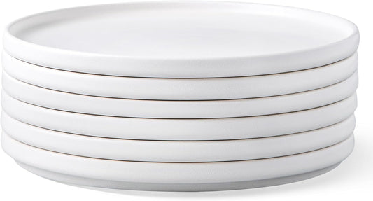 Unique Stoneware Dinner Plates Set of 6, 10.5 Inch Matte Glaze