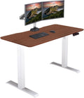 Height Adjustable Electric Standing Desk - Quiet Motor - 48x24 - Hazel Wood