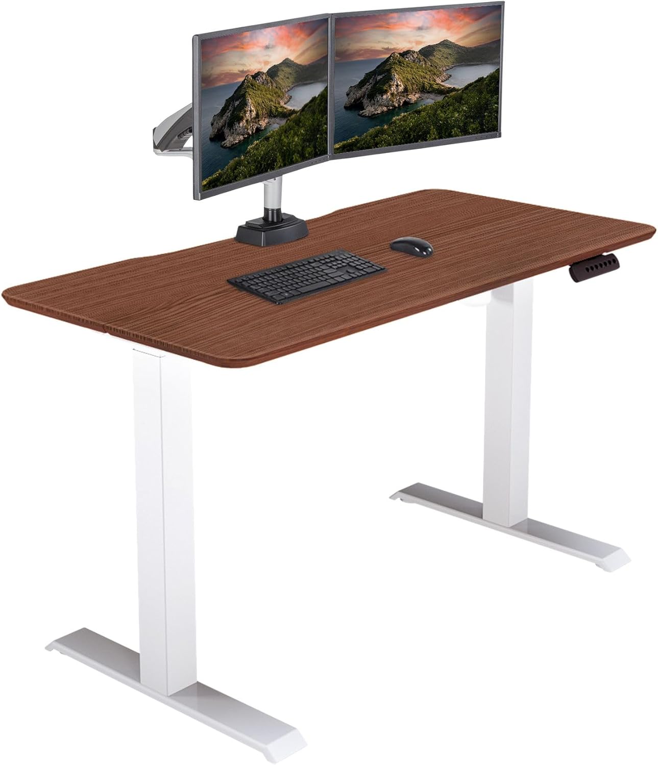 Height Adjustable Electric Standing Desk - Quiet Motor - 48x24 - Hazel Wood