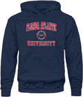 Classic Hooded Sweatshirt with Heritage Logo for Unisex Style