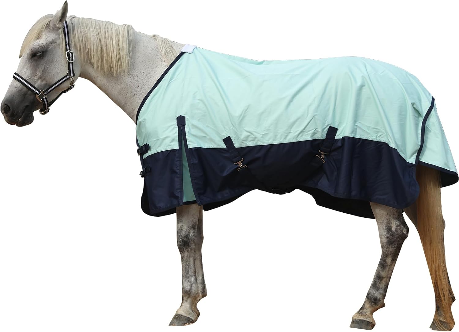 600 Denier Rip-Stop Horse Rain Sheet Lightweight Waterproof
