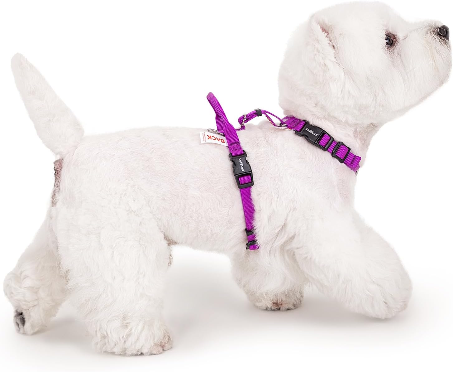 Non Restrictive Dog Harness for Easy Walks and Comfort