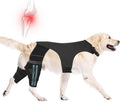 Dog Knee Brace for Hind Legs ACL Support - Double-Leg Stability