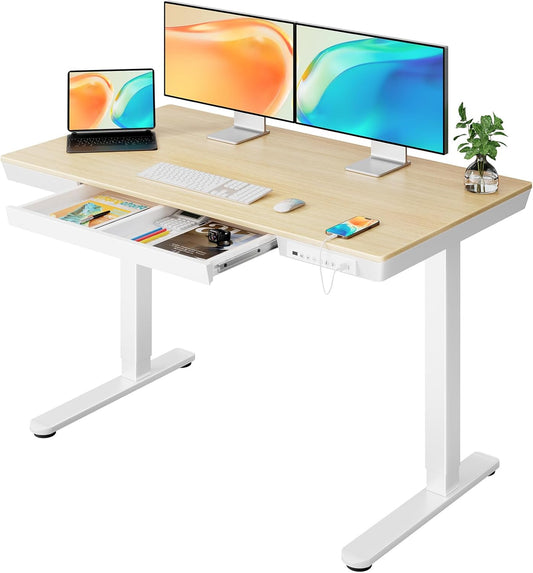 ErGear Electric Standing Desk with Drawers & USB Ports for Home