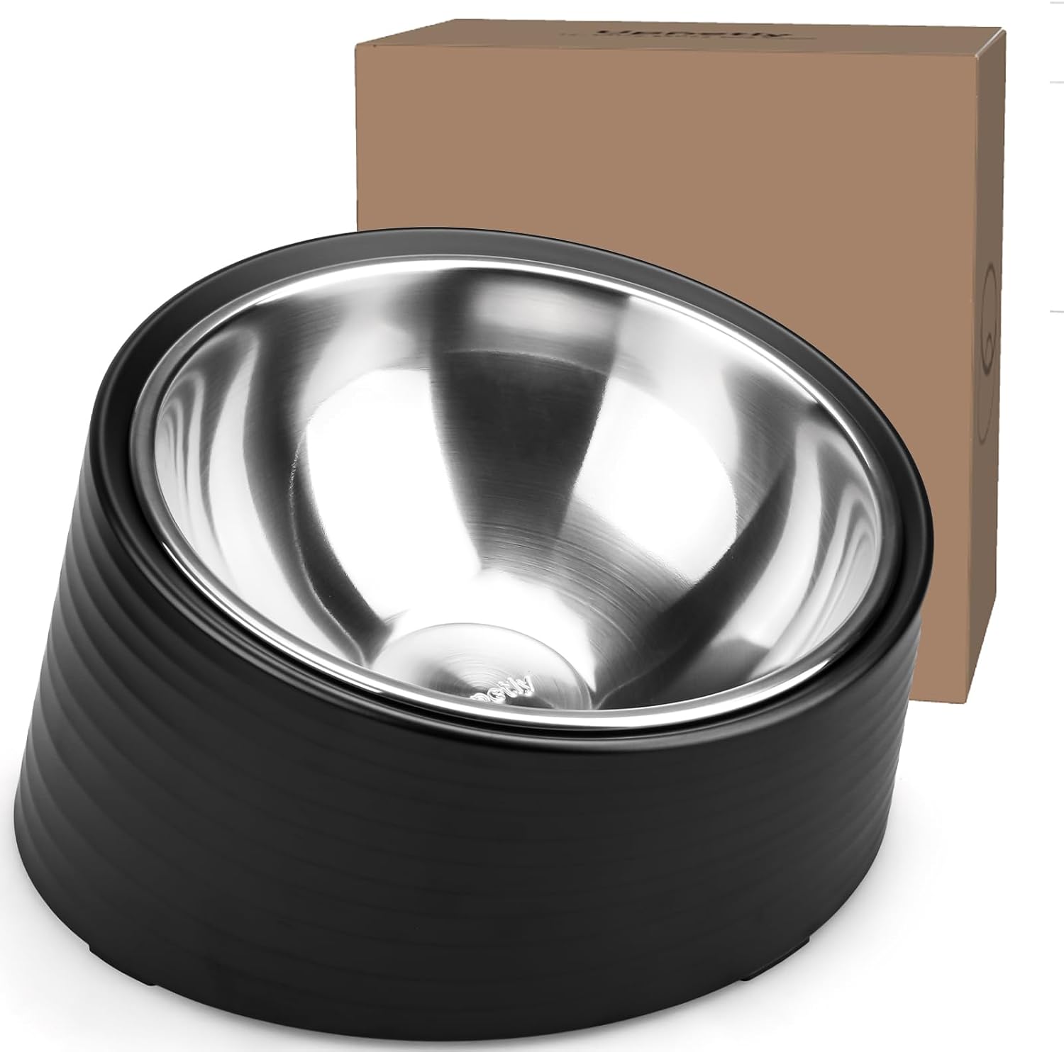 Tilted Angle Dog Bowl with Elevated Stand for Easy Feeding
