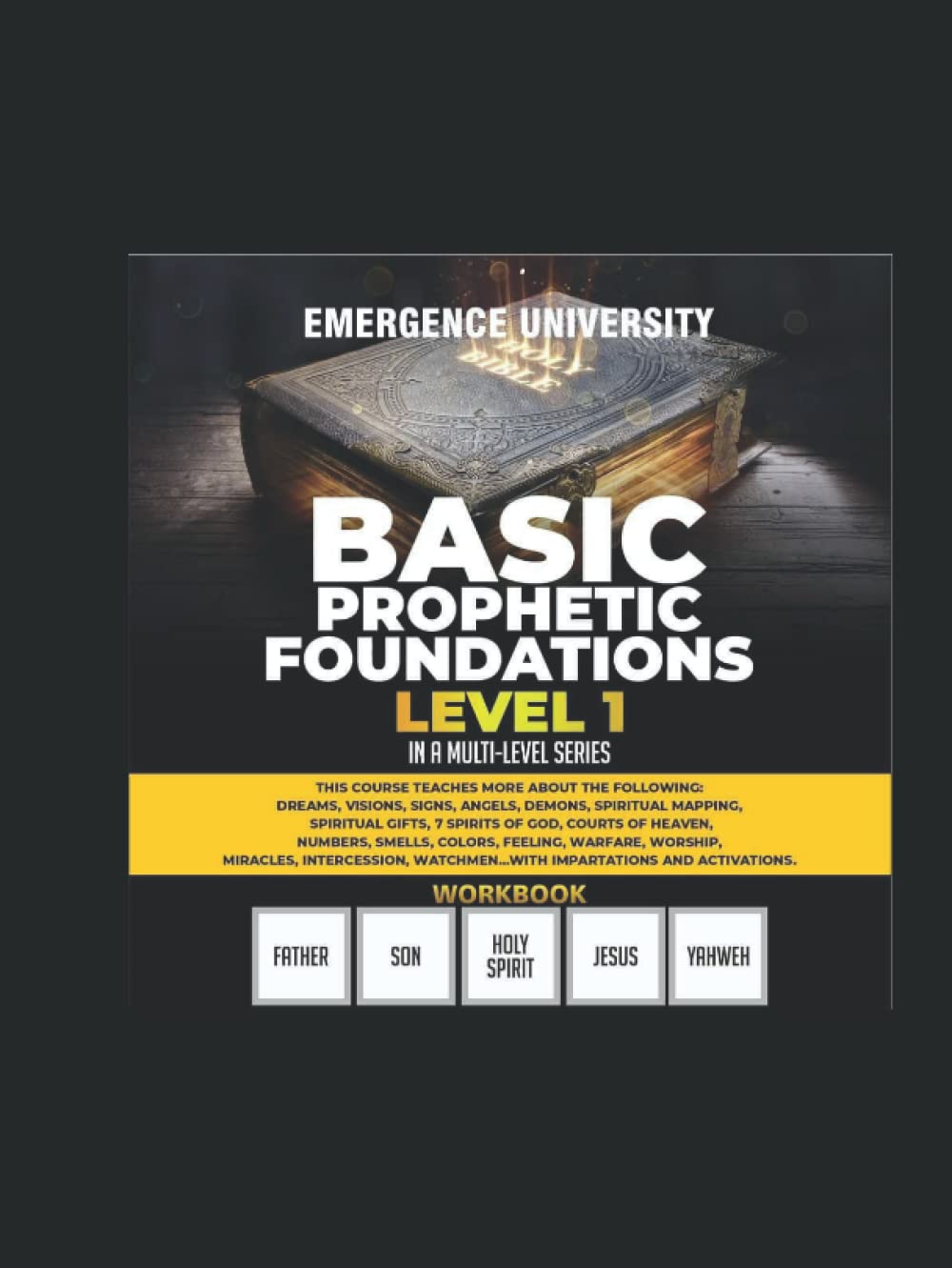 Emergence University Apostolic School of the Prophetic Syllabus