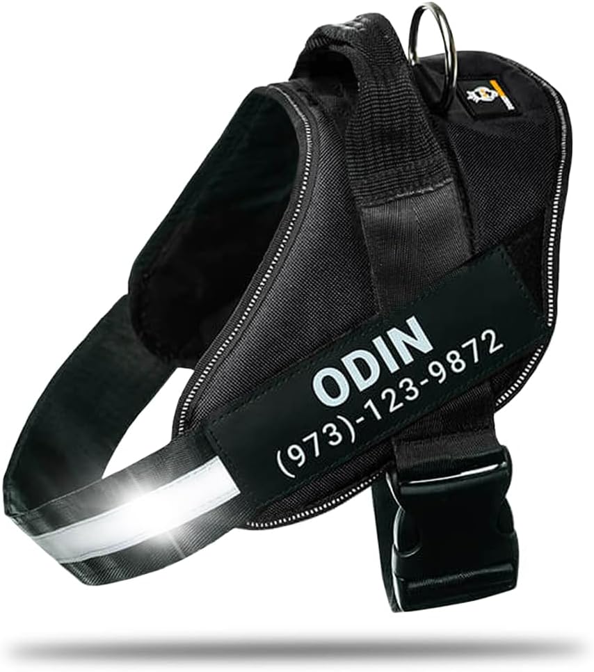 Personalized No-Pull Dog Harness for Safe and Comfortable Walks