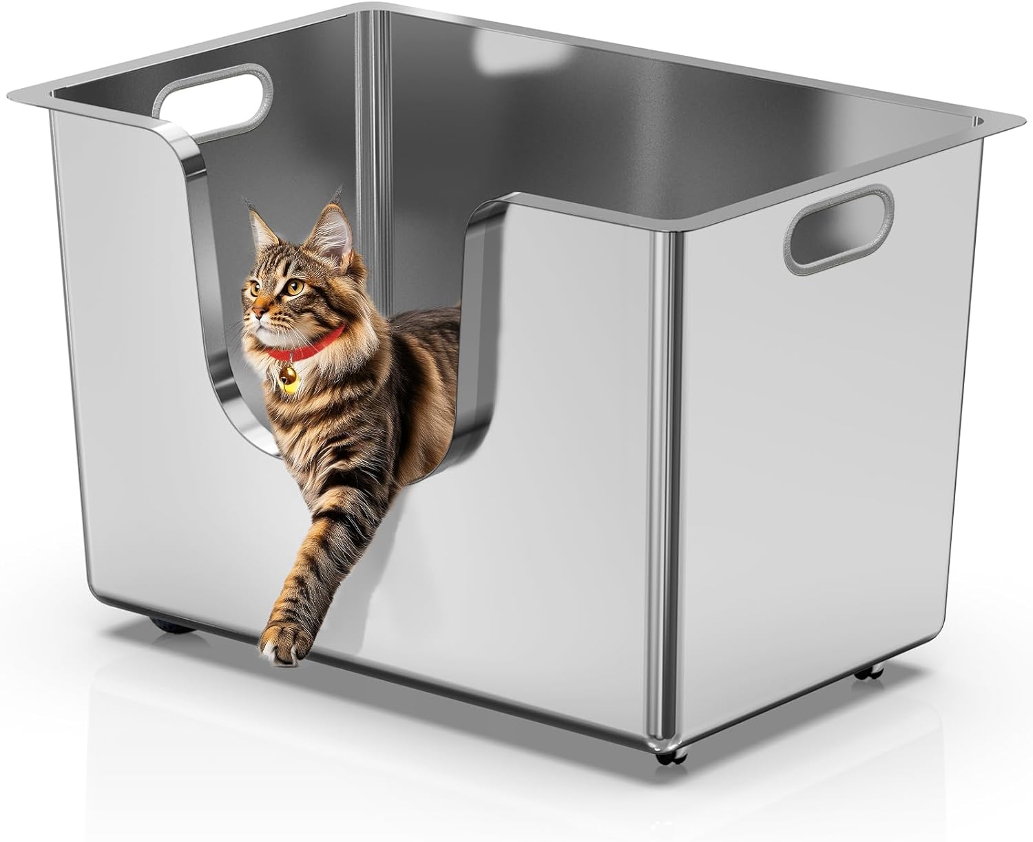 Ptlom Stainless Steel Cat Litter Box for Big Cats 11.8 in